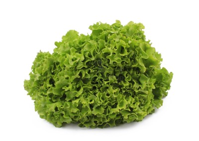 Салат романо 1 кг - купить в Апанаево