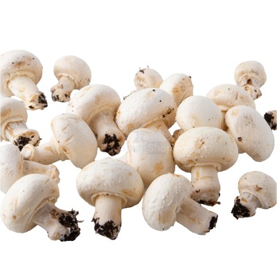 Шампиньоны свежие 500 г - купить в Апанаево